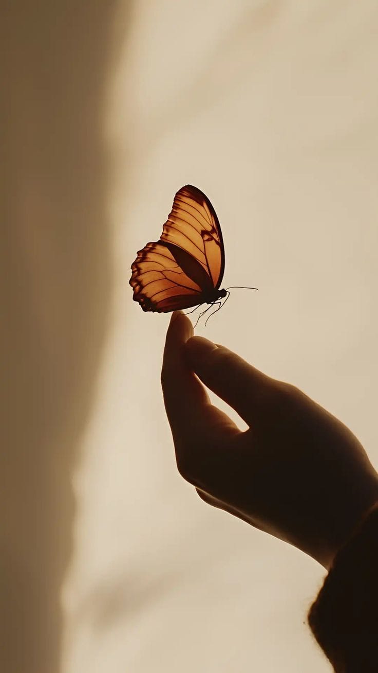 پروفایل پروانه دخترانه