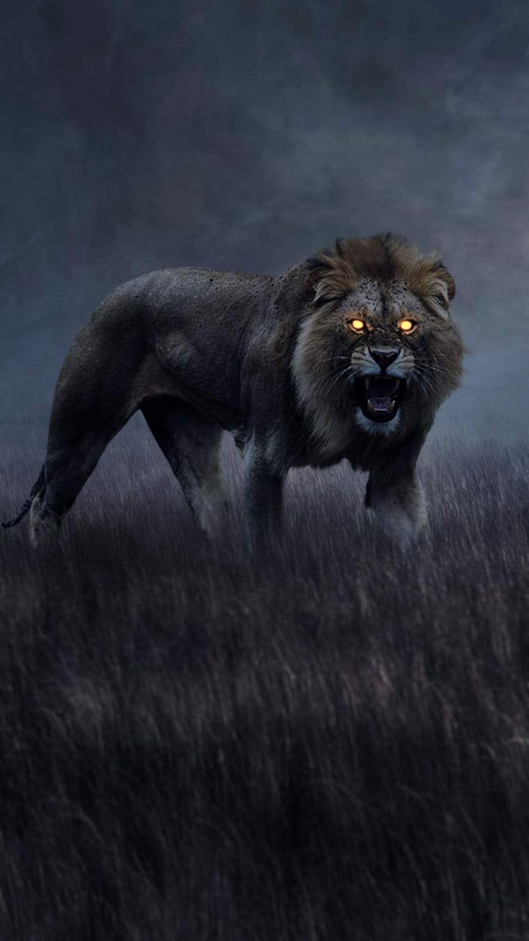 والپیپر پسرانه لاتی